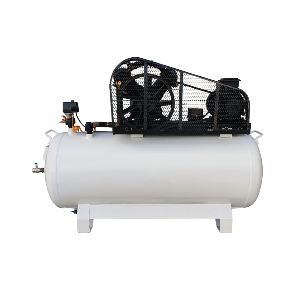 300 lt 2 Kafa 8 Bar 5.5 Hp Pistonlu Hava Kompresörü I DM290