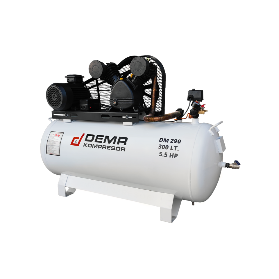 300 lt 2 Kafa 8 Bar 5.5 Hp Pistonlu Hava Kompresörü I DM290