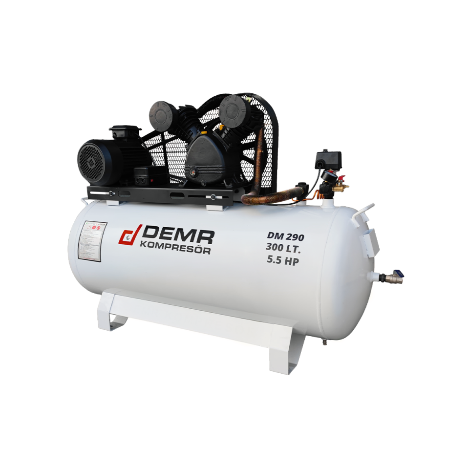 300 lt 2 Kafa 8 Bar 5.5 Hp Pistonlu Hava Kompresörü I DM290
